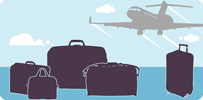 Initiative Banner of the Air Transportation Baggage Rules Consultation