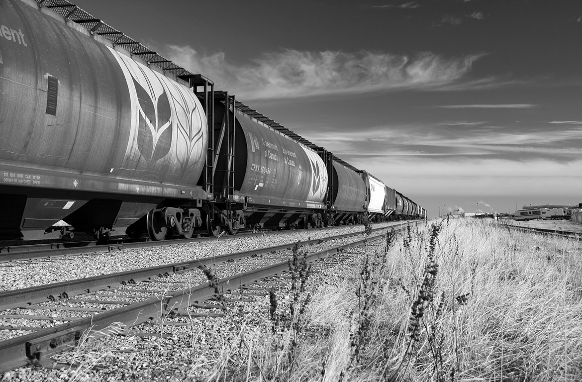 Photo: Wagons-trémies du gouvernement transportant du grain dans les prairies. (Photo : indykb / Shutterstock)