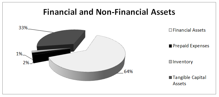 Total financial and non-financial assets